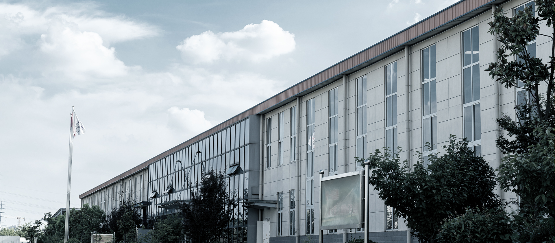 安徽揚子智能制造有限公司